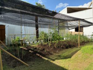 MAGIFARM 2