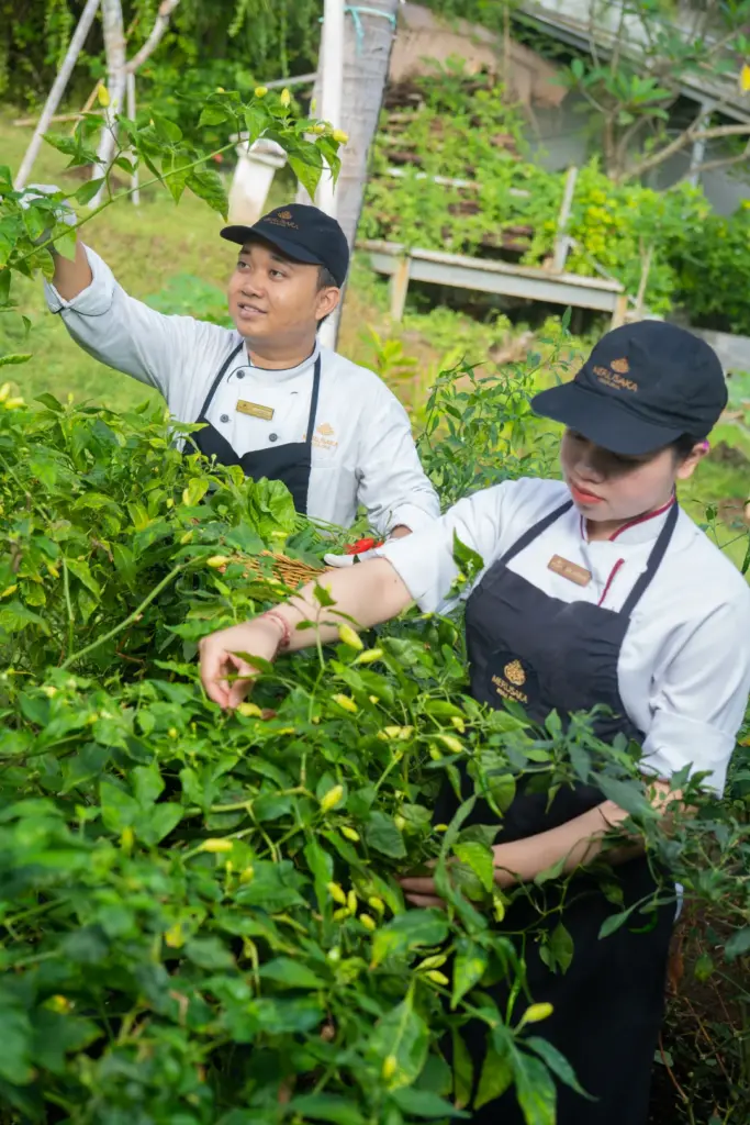eco-friendly agriculture