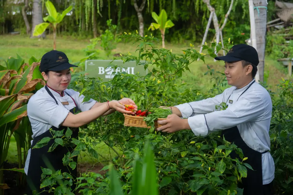eco-friendly agriculture